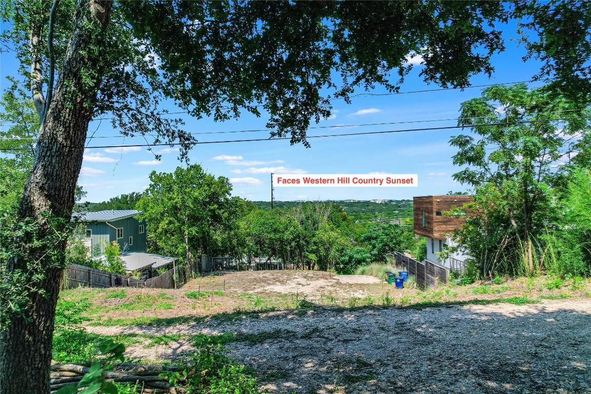 3007 South 4th Street Austin, TX 78704 - Photo 8 of 16 a view of a back yard