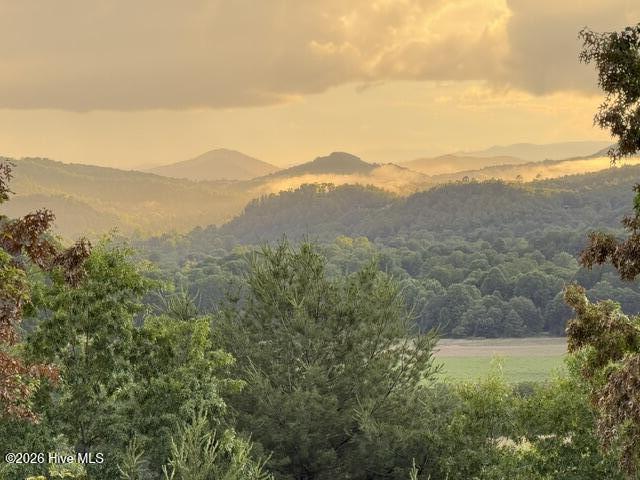 Lot 5 Downings Creek Road Hayesville, NC 28904 - Photo 11 of 11