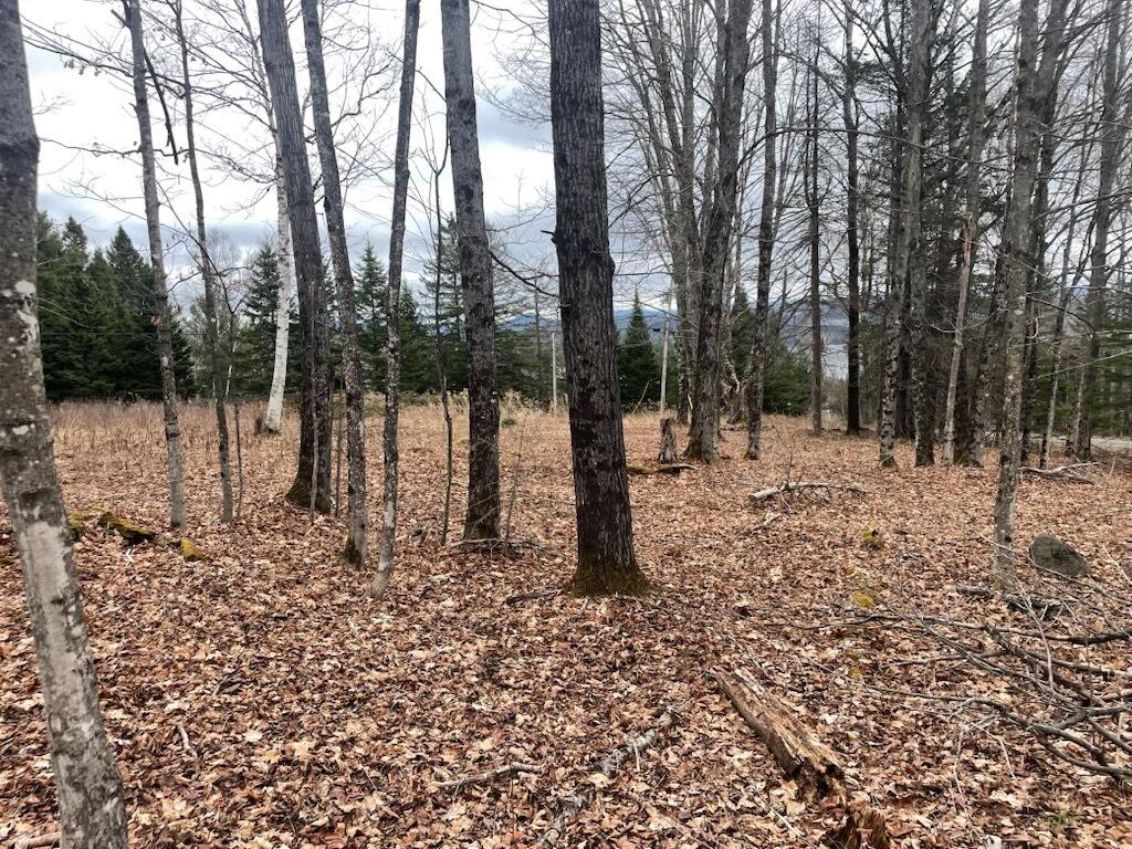 11 Amber Road Rangeley, ME 04970 - Photo 1 of 7 Woods-Amber
