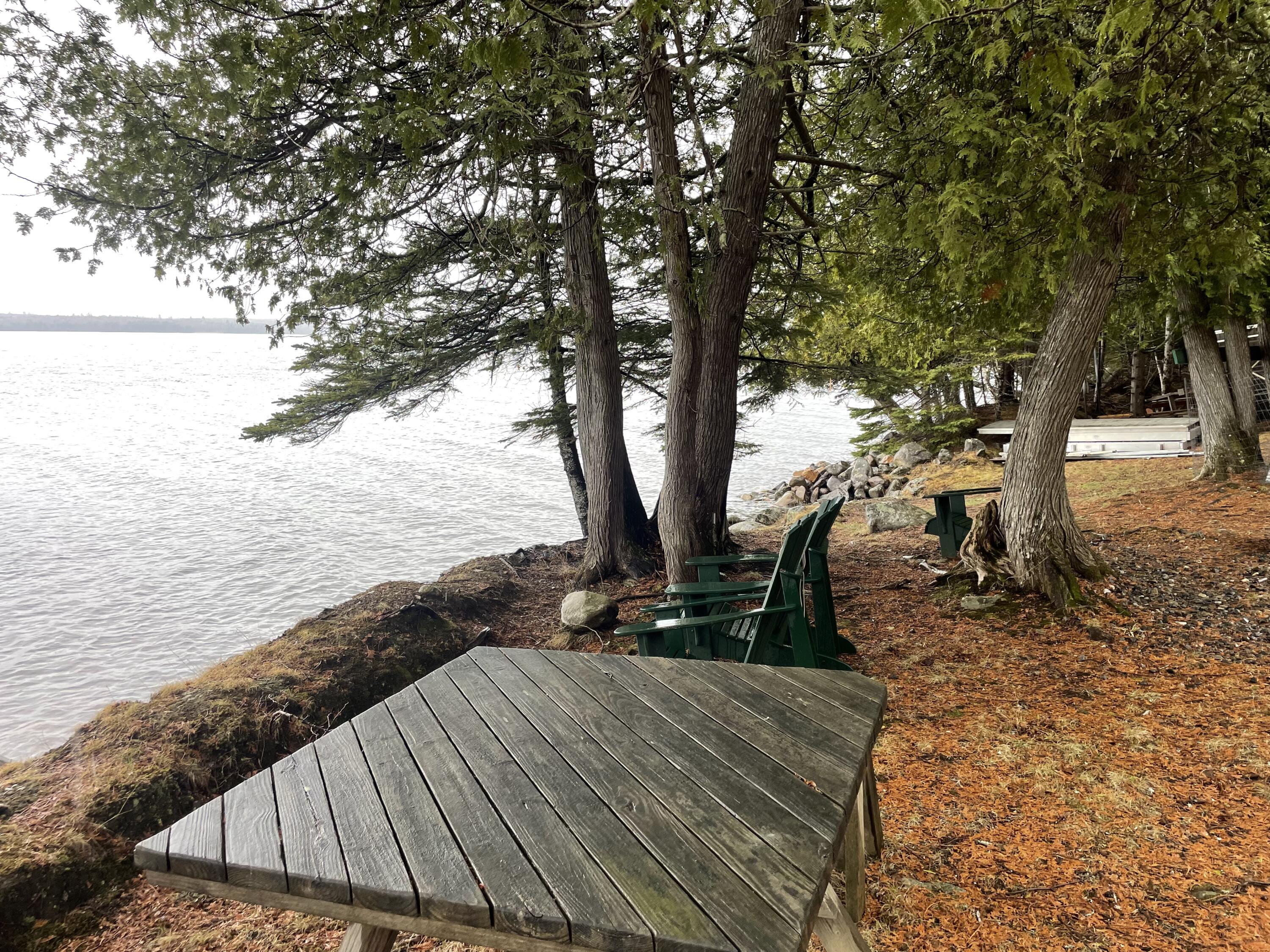 11 Amber Road Rangeley, ME 04970 - Photo 6 of 7 Rapoza-trees and water