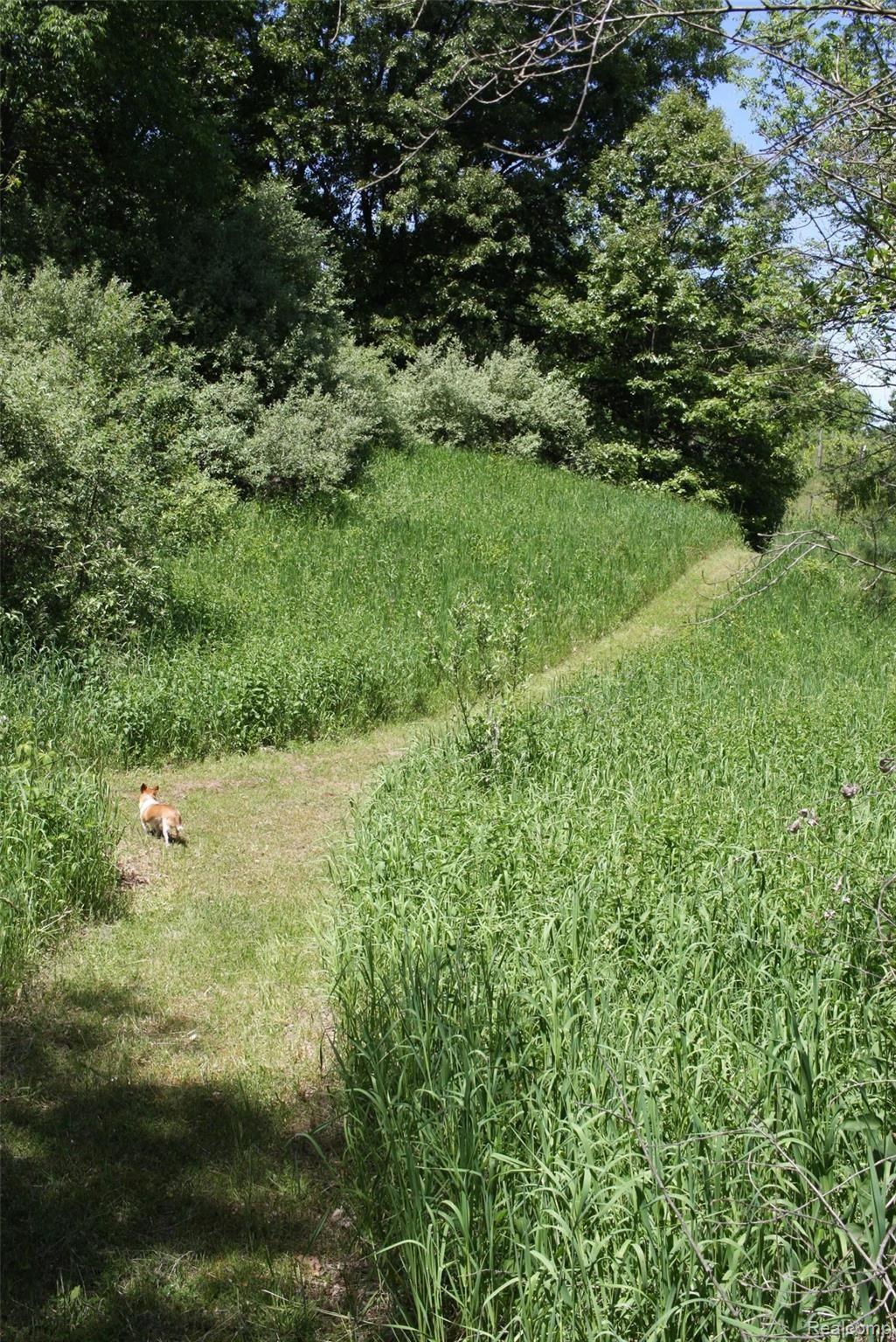 13101 Rattalee Lake Road Davisburg, MI 48350 - Photo 55 of 68 38 - n35gawJ.jpg