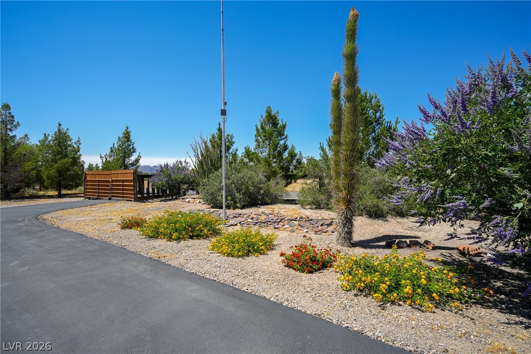 1831 West Horn Road Pahrump, NV 89048 - Photo 30 of 59 A curved paved driveway leads to a property with diverse landscaping under a clear sky.