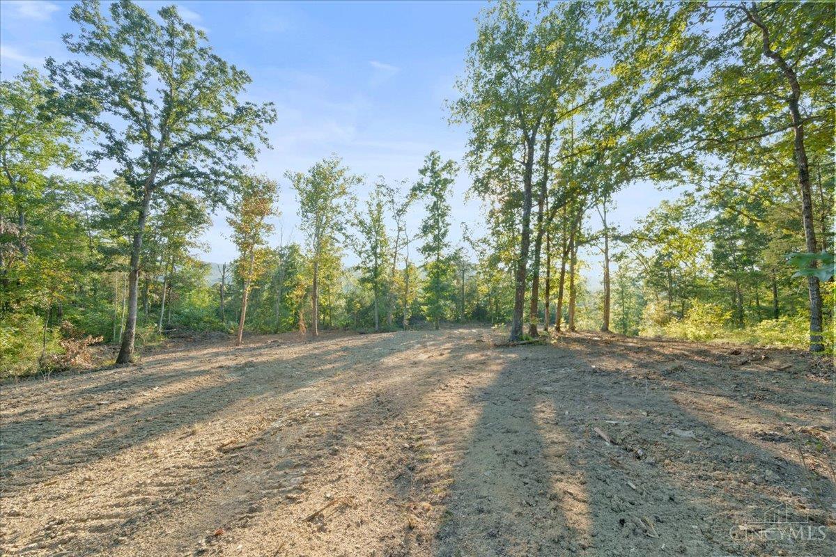 Acres Waggoner Riffle Road West Union, OH 45693 - Photo 16 of 29 Gallery Image 16