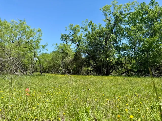 a view of an outdoor space and a yard