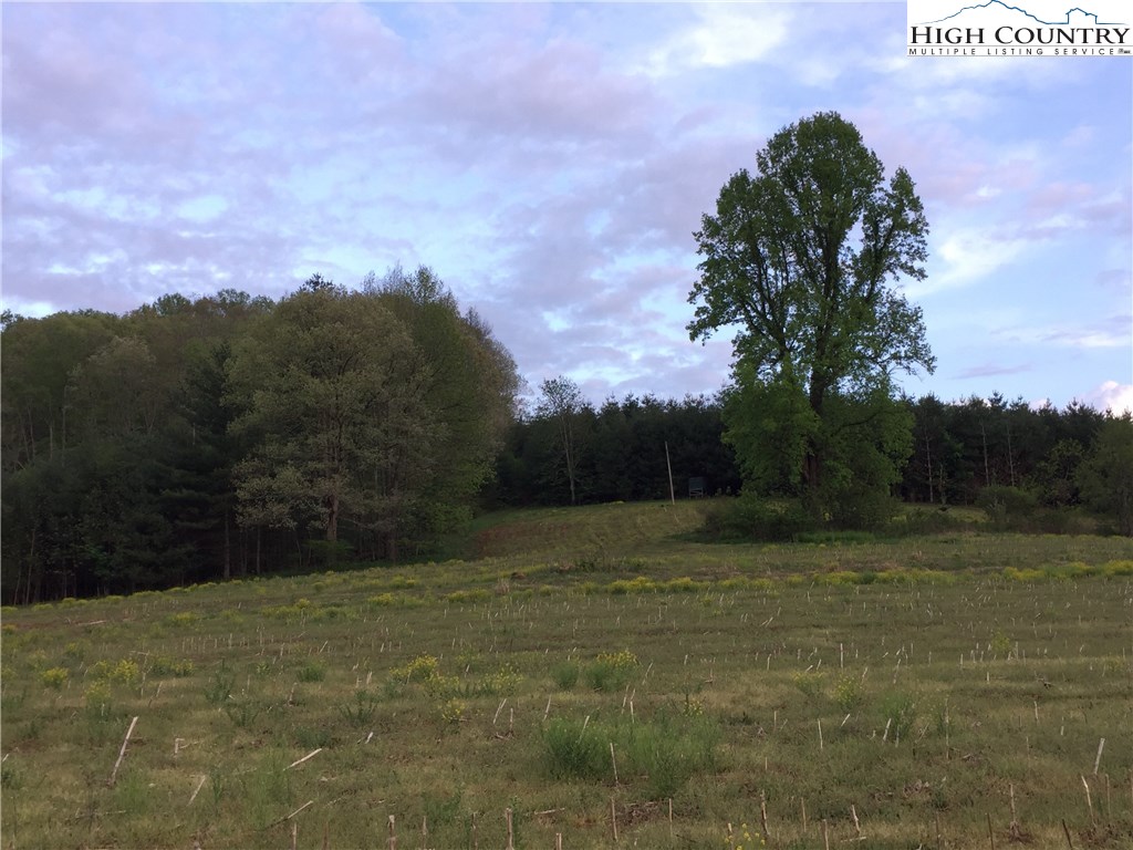 1122 Scrape Bottom Road Scottville, NC 28672 - Photo 34 of 50 Gallery Image 34