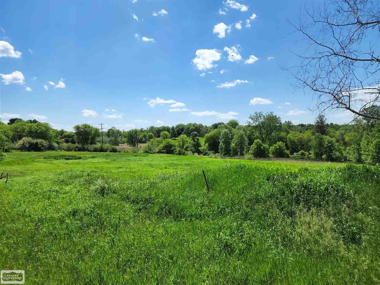 0 Brewer Road Leonard, MI 48367 - Photo 7 of 7