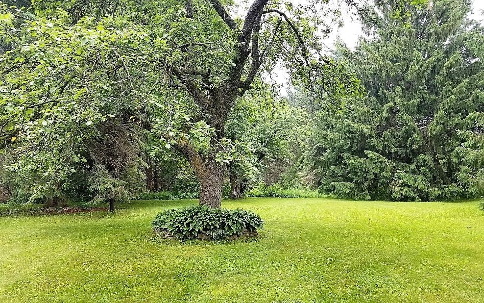 1048 East Scott Road Ossineke, MI 49766 - Photo 18 of 22 Gallery Image 18
