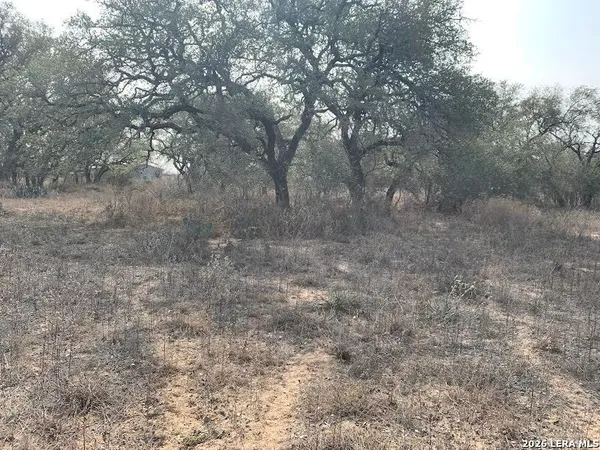 a view of a dry yard with trees in the background