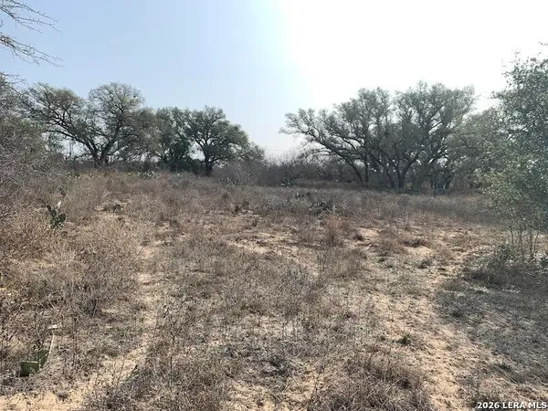 a view of a dry yard with trees