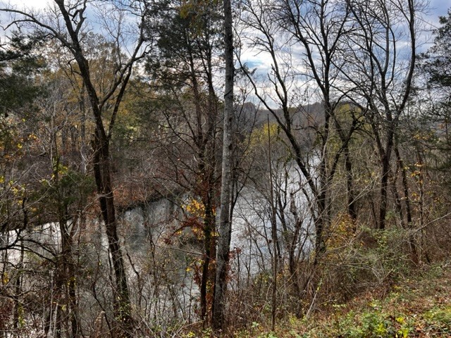 2990 Vanzant Bend Road Belvidere, TN 37306 - Photo 3 of 20 a view of a forest