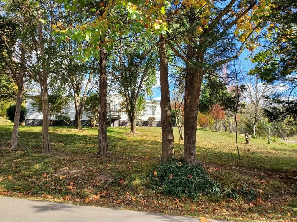 2990 Vanzant Bend Road Belvidere, TN 37306 - Photo 5 of 20 a view of yard with trees
