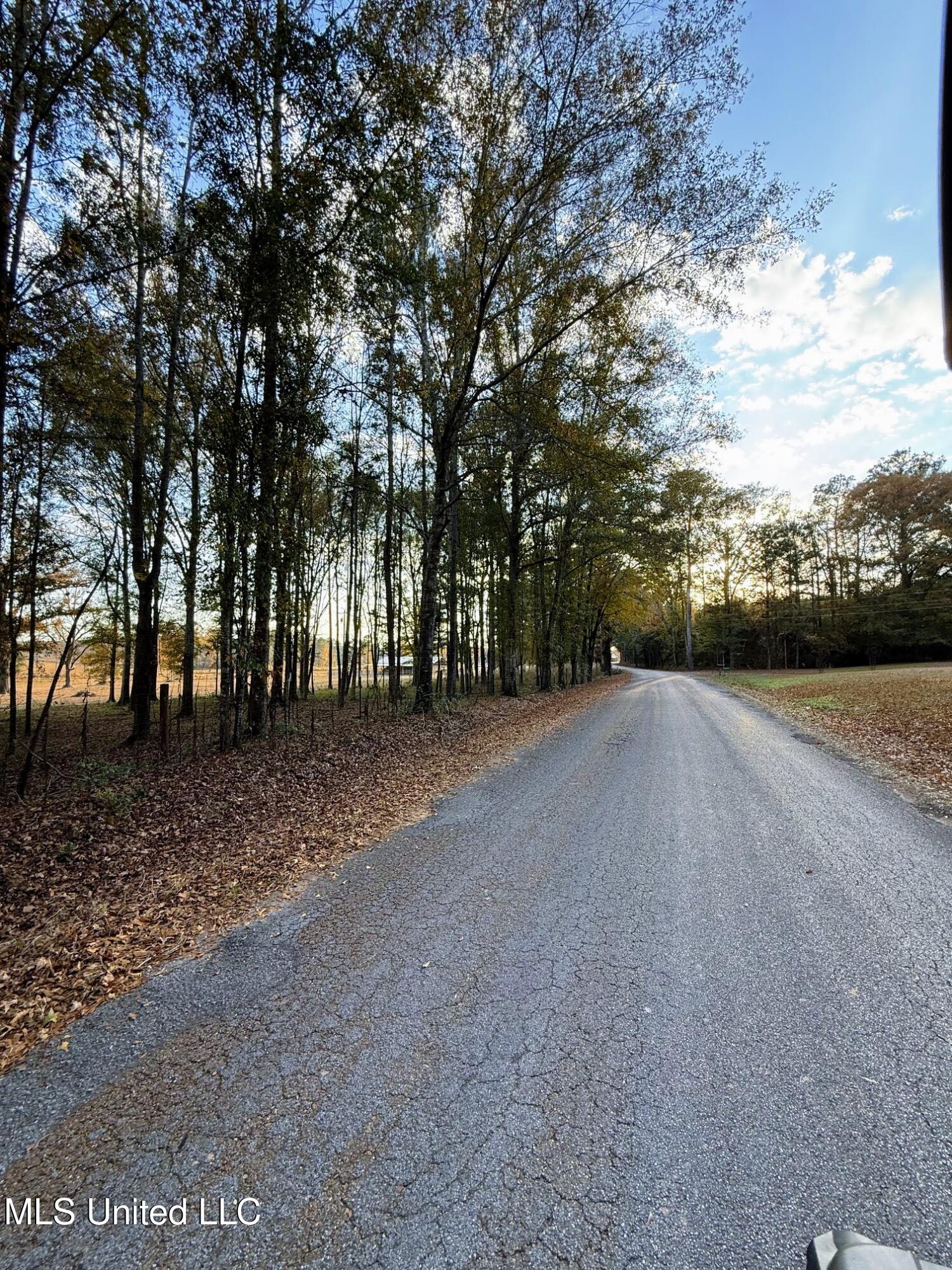 Zion Road Walnut Grove, MS 39189 - Photo 46 of 55 IMG_4878