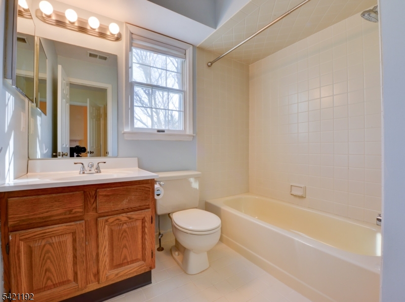 220 Alexandria Way Bernards, NJ 07920 - Photo 3 of 18 a bathroom with a sink a toilet and a bathtub