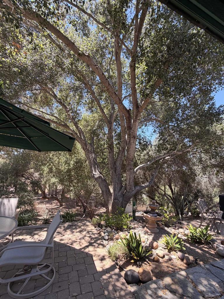 524 Rosvall Drive Fallbrook, CA 92028 - Photo 27 of 77