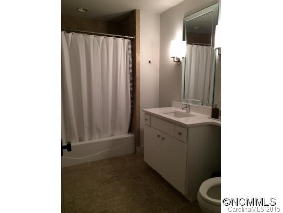 375 Robin Hood Road Brevard, NC 28712 - Photo 12 of 14 Gallery Image 12