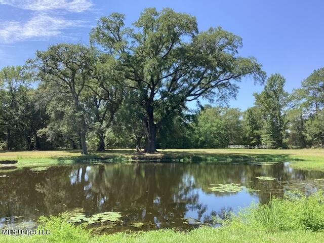 222 Otis Stewart Road, Unit A Picayune, MS 39466 - Photo 20 of 35 268217F4-6363-4F23-A2B9-BB6F8B7A5001