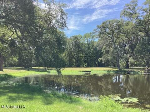 222 Otis Stewart Road, Unit A Picayune, MS 39466 - Photo 23 of 35 18A4E313-9EBB-417A-82AB-122CA6BDF68E