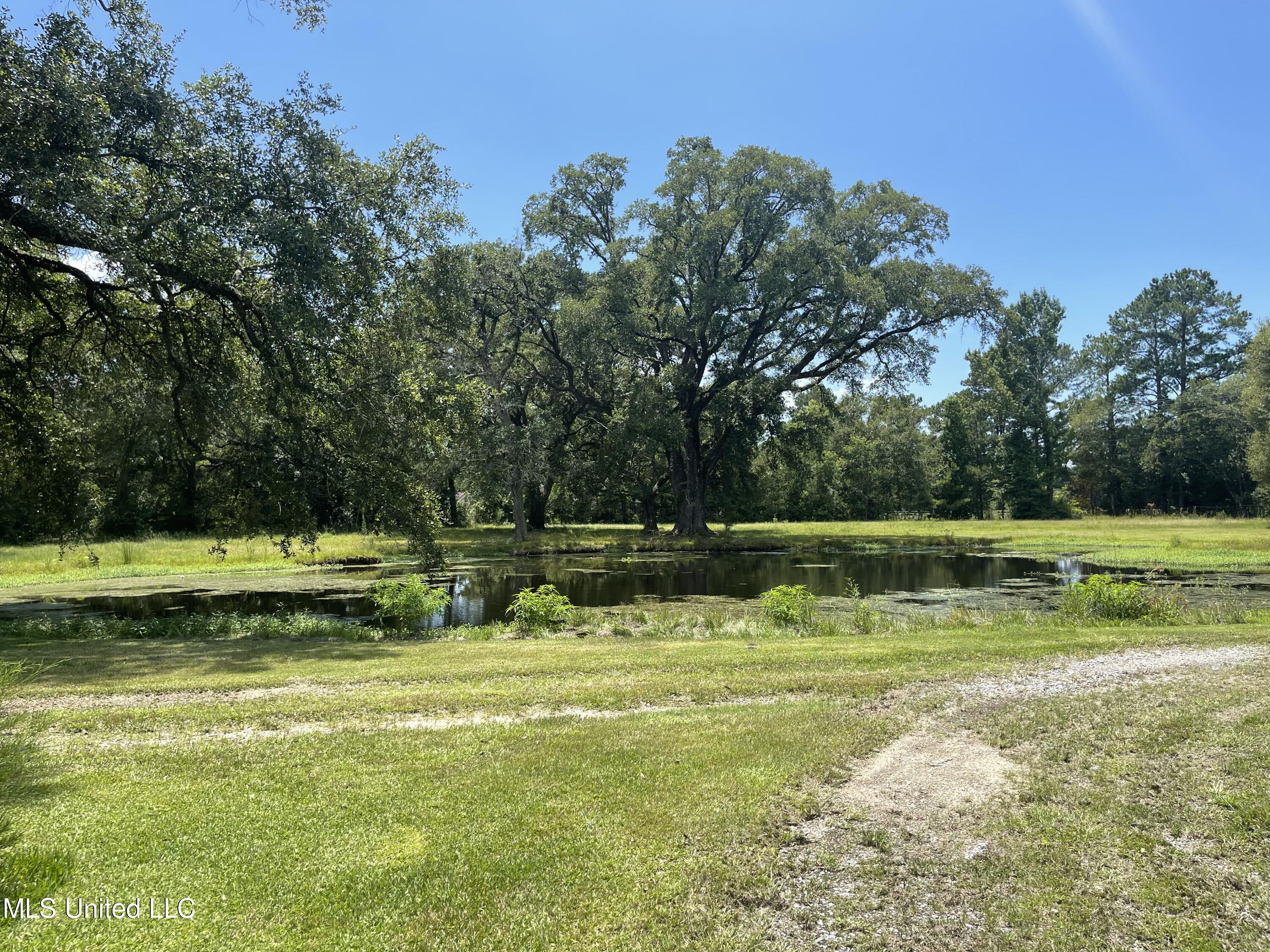 222 Otis Stewart Road, Unit A Picayune, MS 39466 - Photo 6 of 35 IMG_8787