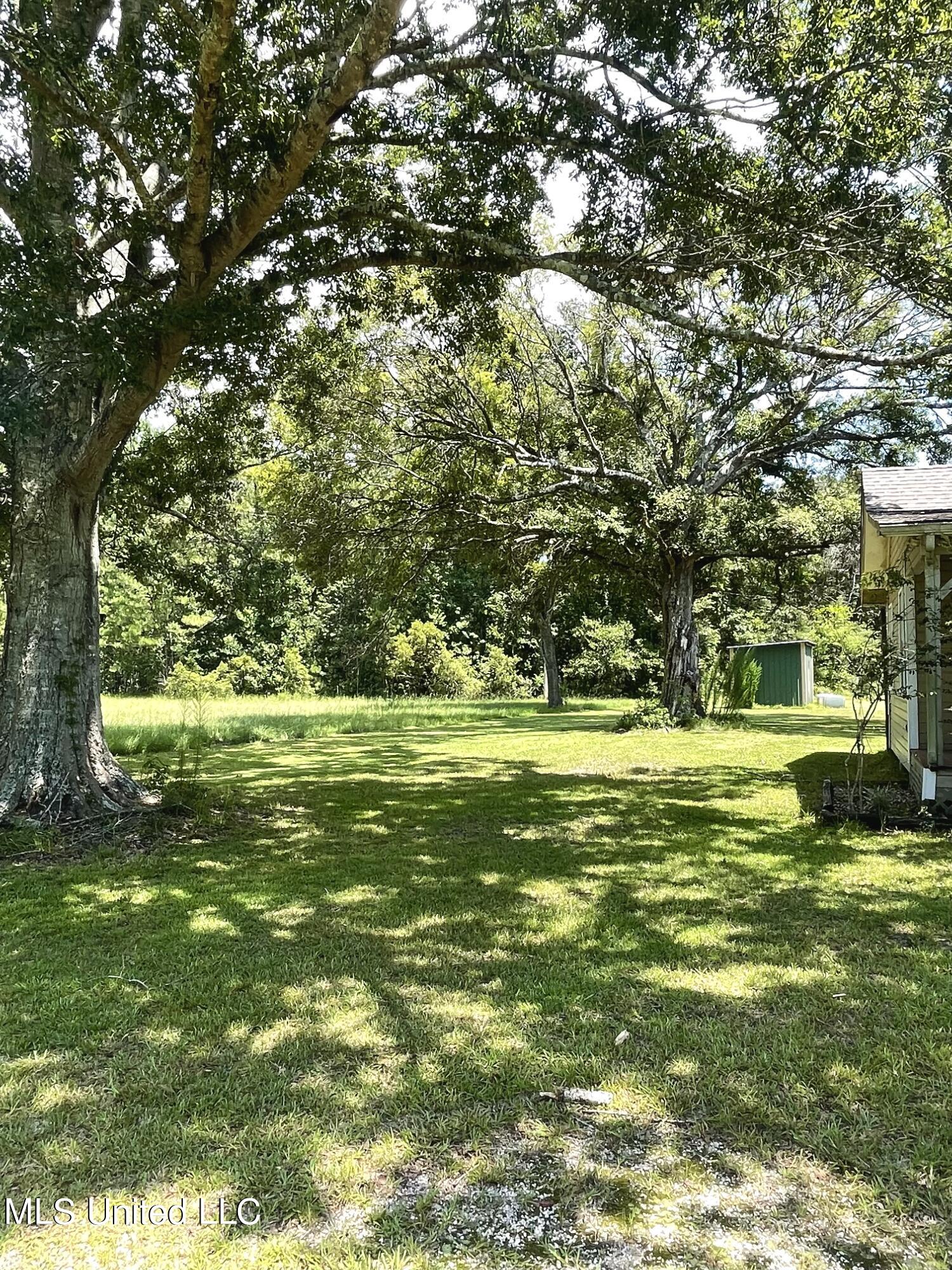 222 Otis Stewart Road, Unit A Picayune, MS 39466 - Photo 8 of 35 IMG_8807