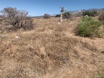 0 Emerald Road Lucerne Valley, CA 92356 - Photo 9 of 10