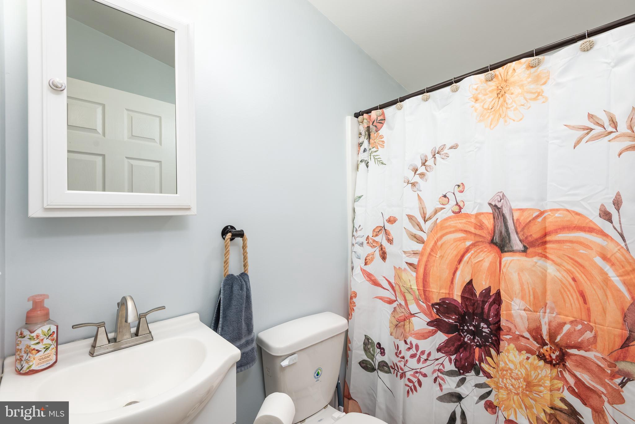 25607 Garey Road Denton, MD 21629 - Photo 11 of 19 a bathroom with a toilet sink and mirror