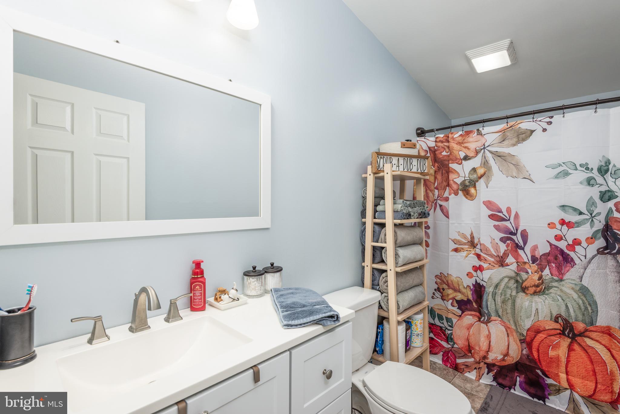 25607 Garey Road Denton, MD 21629 - Photo 14 of 19 a bathroom with a sink toilet and shower