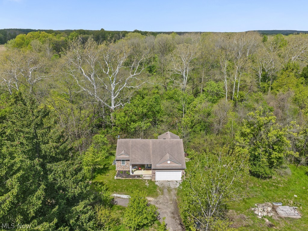 14002 Diagonal Road Lagrange, OH 44050 - Photo 44 of 50