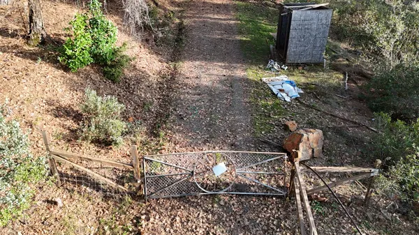 a view of a yard with plants and trees