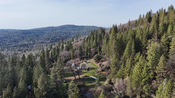 a aerial view of a house with a yard and large tree