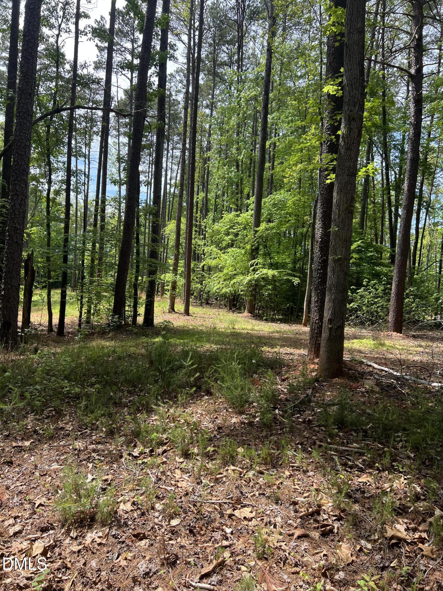 75 Max Finn Lane Roxboro, NC 27574 - Photo 13 of 17 a view of backyard with tree
