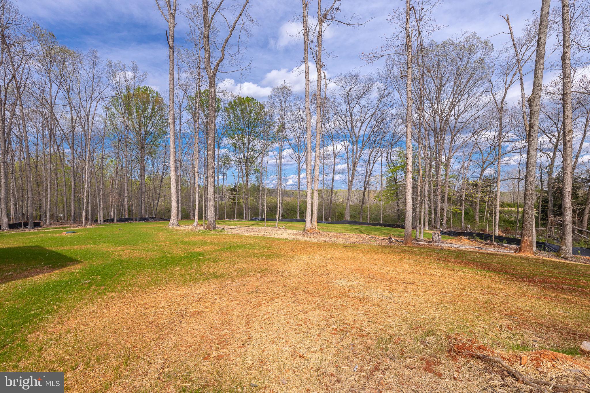 22202 Lahore Road Orange, VA 22960 - Photo 11 of 34 Gallery Image 11