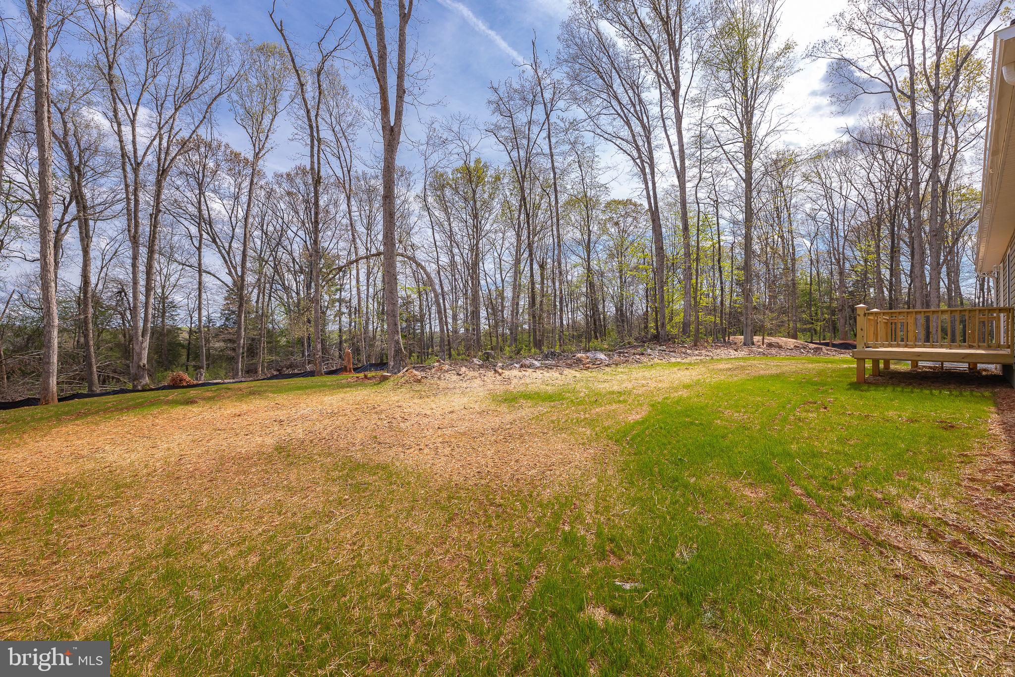 22202 Lahore Road Orange, VA 22960 - Photo 13 of 34 Gallery Image 13