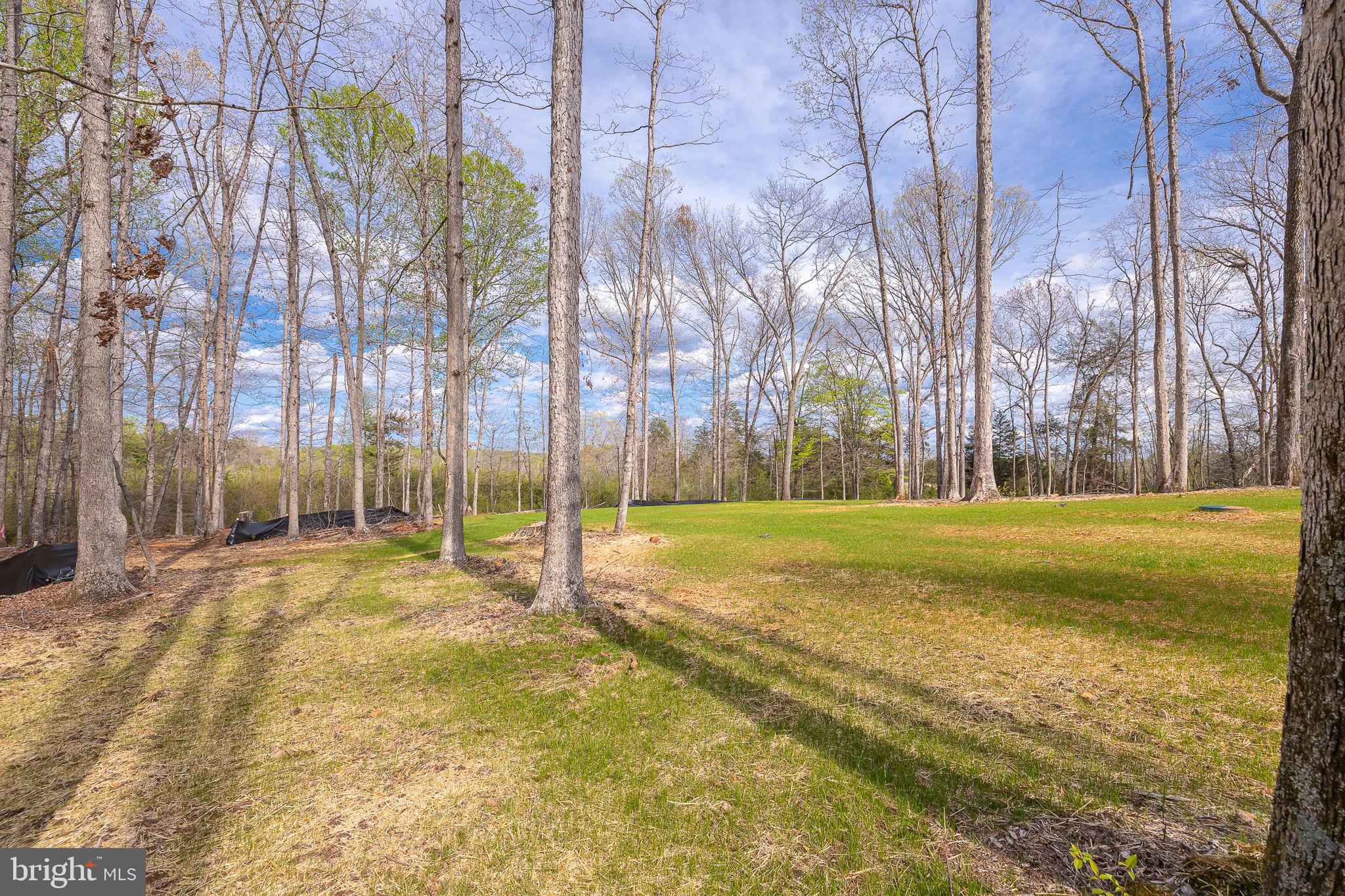 22202 Lahore Road Orange, VA 22960 - Photo 17 of 34 Gallery Image 17