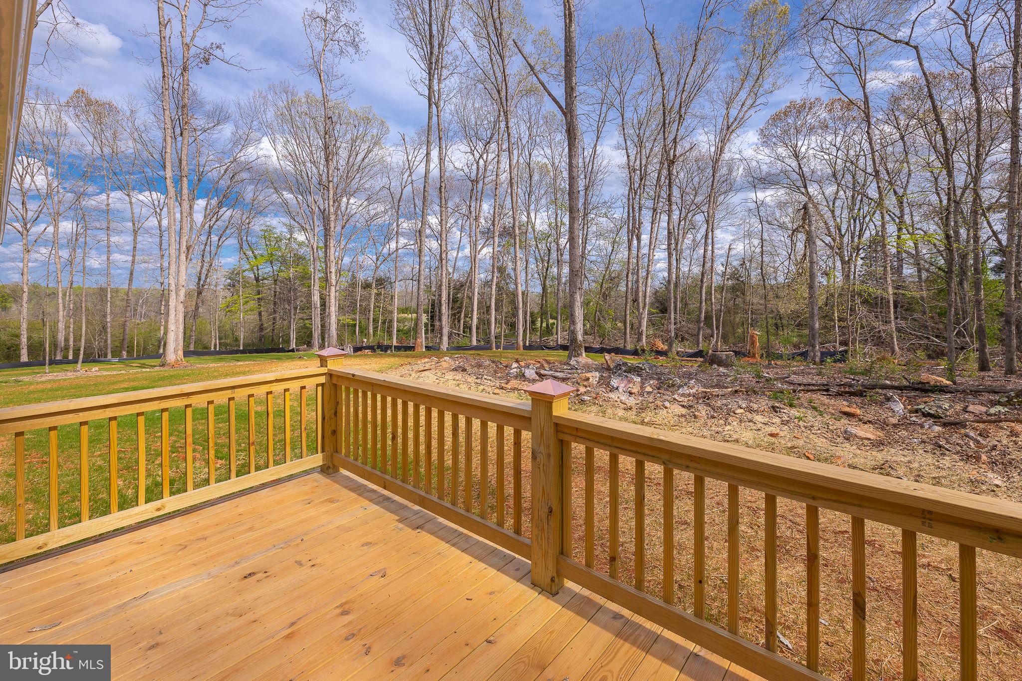 22202 Lahore Road Orange, VA 22960 - Photo 9 of 34 Gallery Image 9