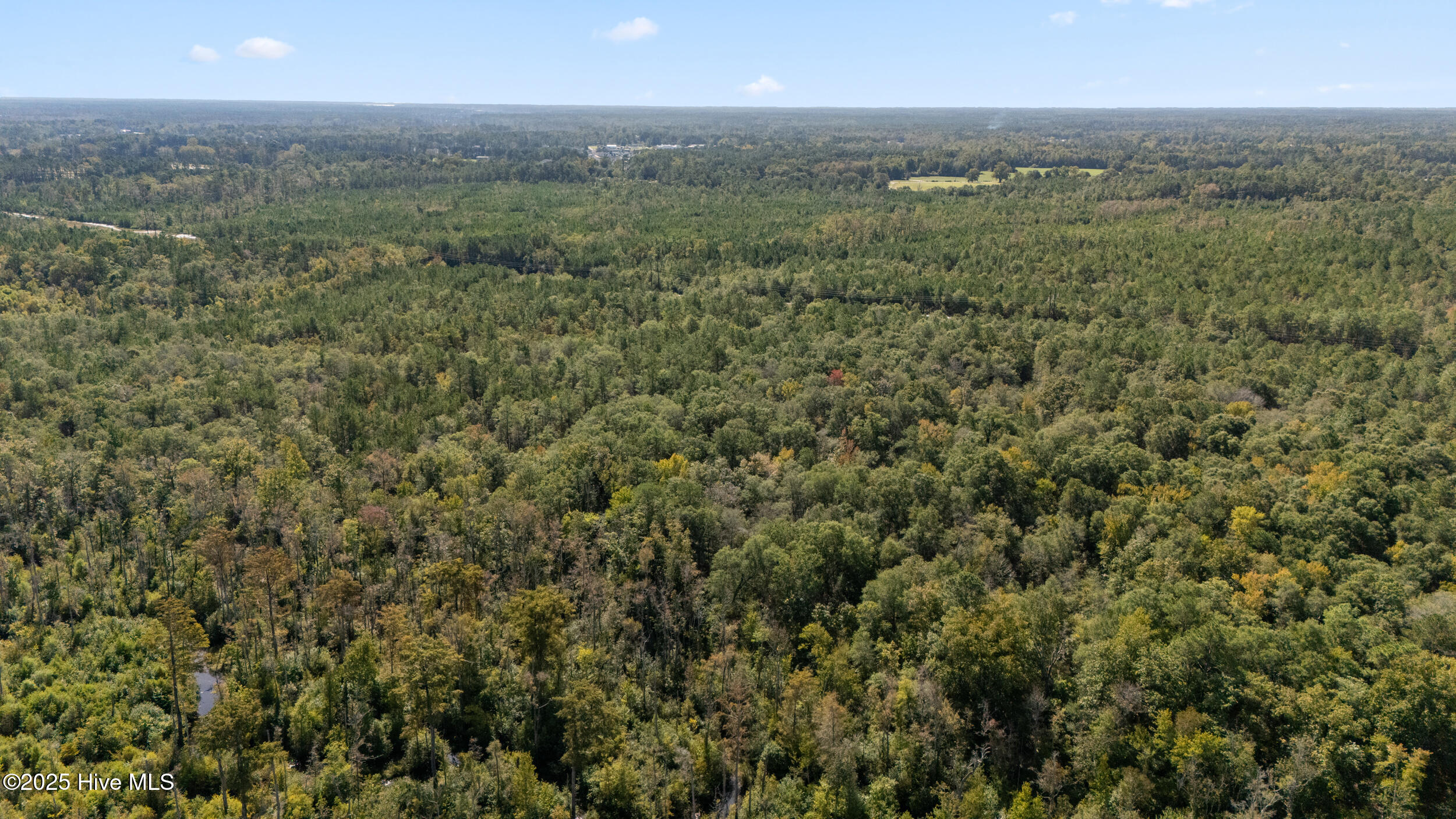 0 Green Swamp Rd Road Northwest Supply, NC 28462 - Photo 16 of 35 11_dji_20251009093723_0015_d