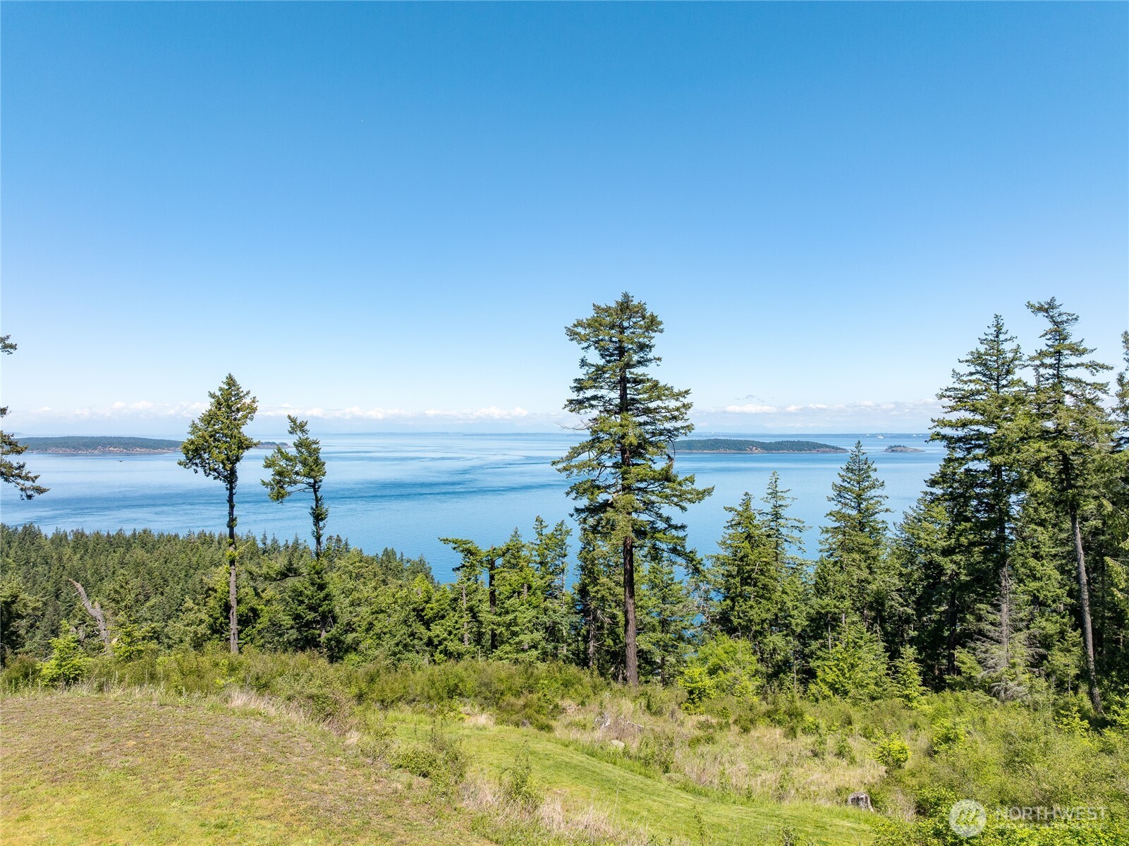 463 Wright Road Orcas Island, WA 98245 - Photo 32 of 40 a view of a garden