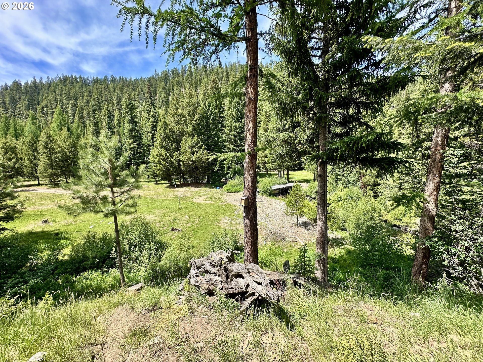 42000 Clear Crk Road Sumpter, OR 97877 - Photo 5 of 39