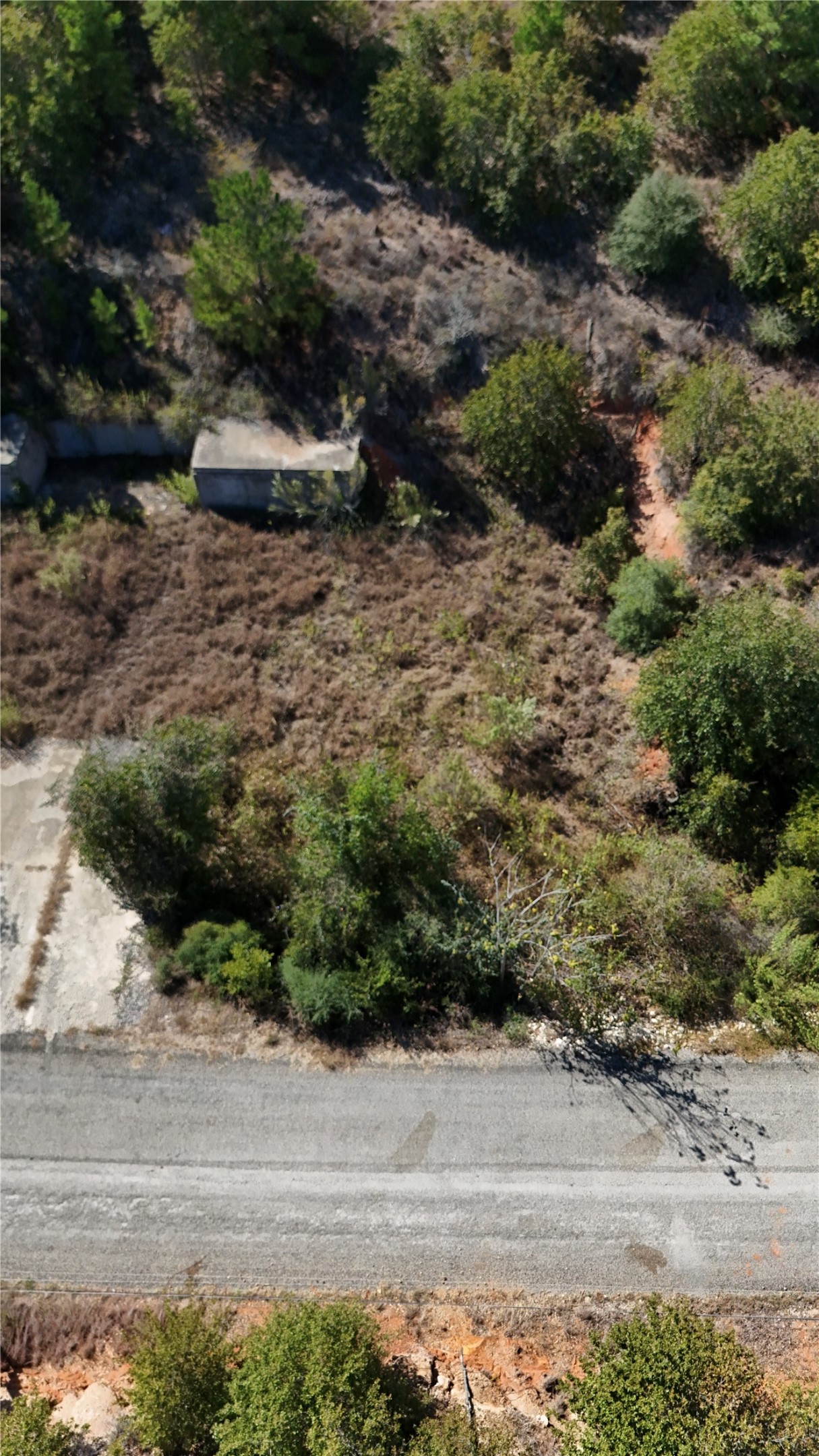 Tbd Aloha Lane Bastrop, TX 78602 - Photo 11 of 20 a view of a dry yard with green space