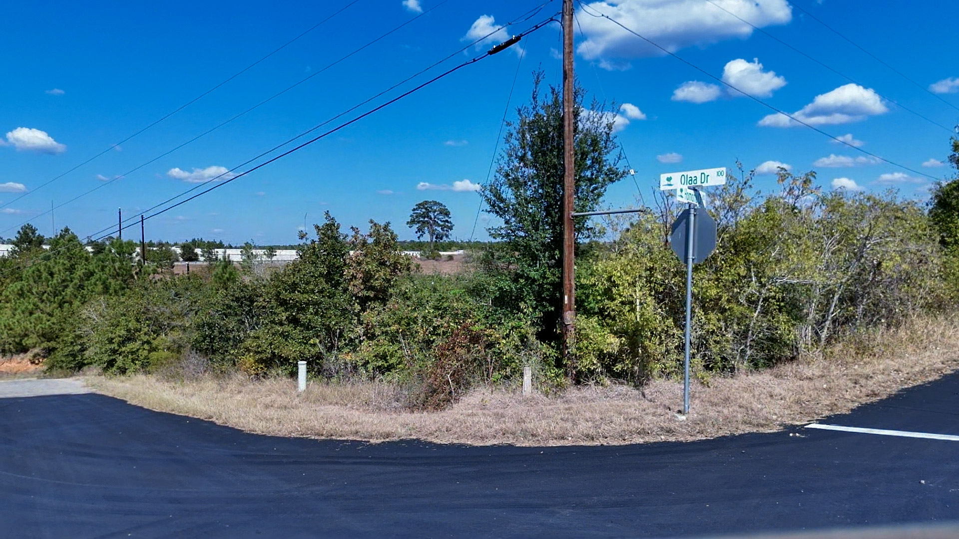 Tbd Aloha Lane Bastrop, TX 78602 - Photo 2 of 20 a view of a yard