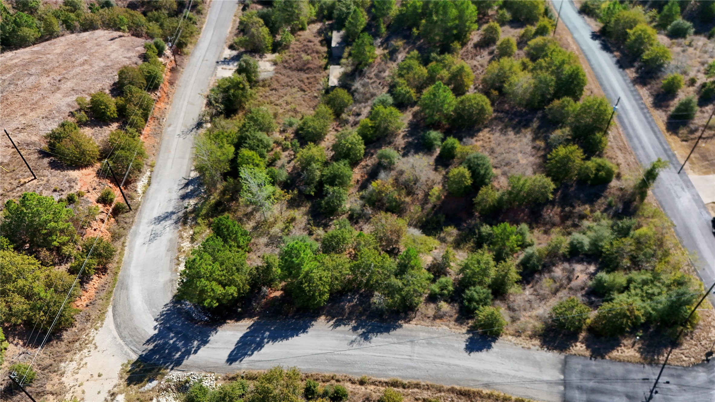 Tbd Aloha Lane Bastrop, TX 78602 - Photo 5 of 20 a plant with lots of trees