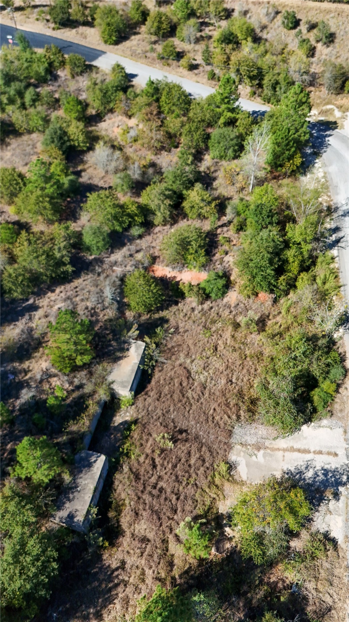 Tbd Aloha Lane Bastrop, TX 78602 - Photo 9 of 20 a view of a yard with plants and trees