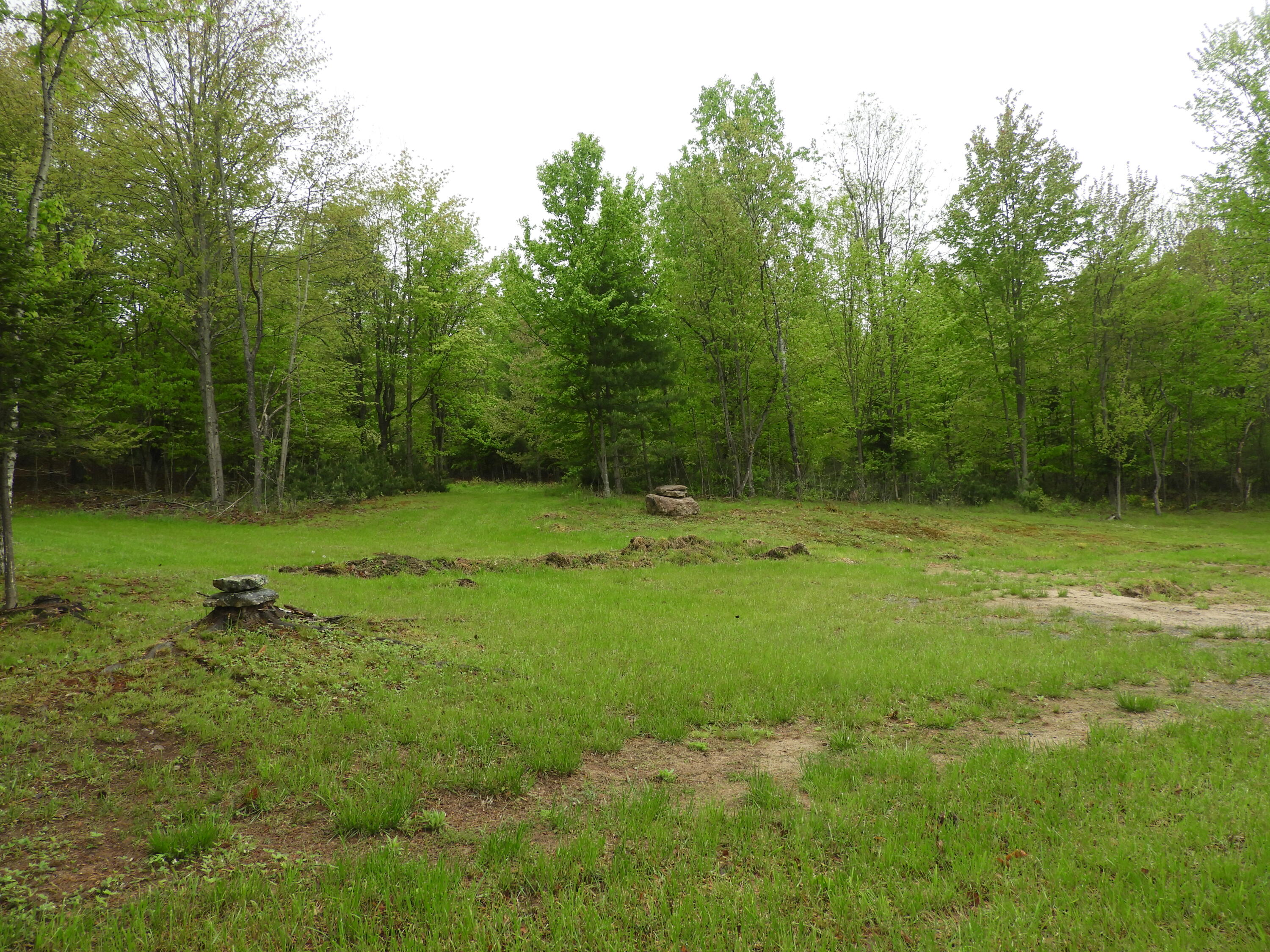 0 Bucks Corners Road Saranac, NY 12981 - Photo 5 of 11 DSCN3378