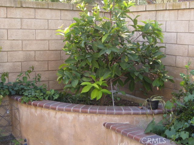 19 Coriander Irvine, CA 92603 - Photo 30 of 40 a picture of a yard