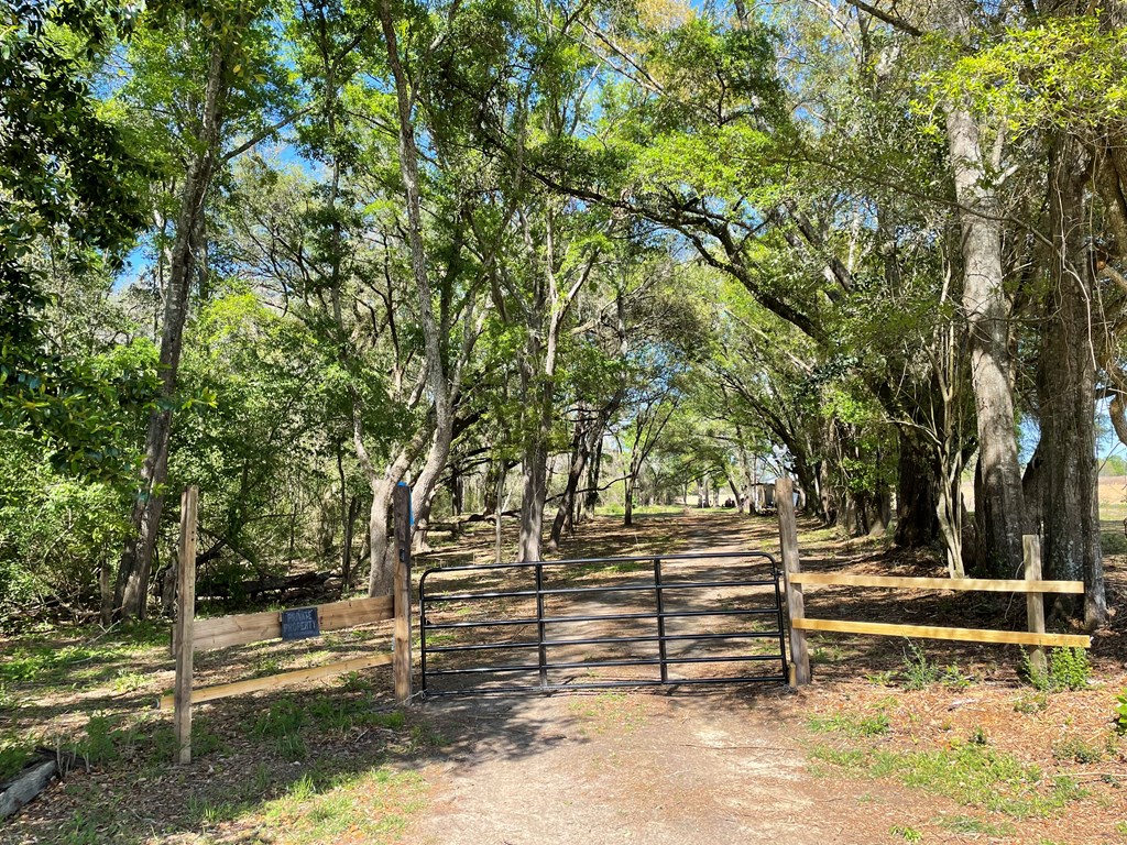 644 Bruner Road Dothan, AL 36301 - Photo 5 of 34 Stunning!