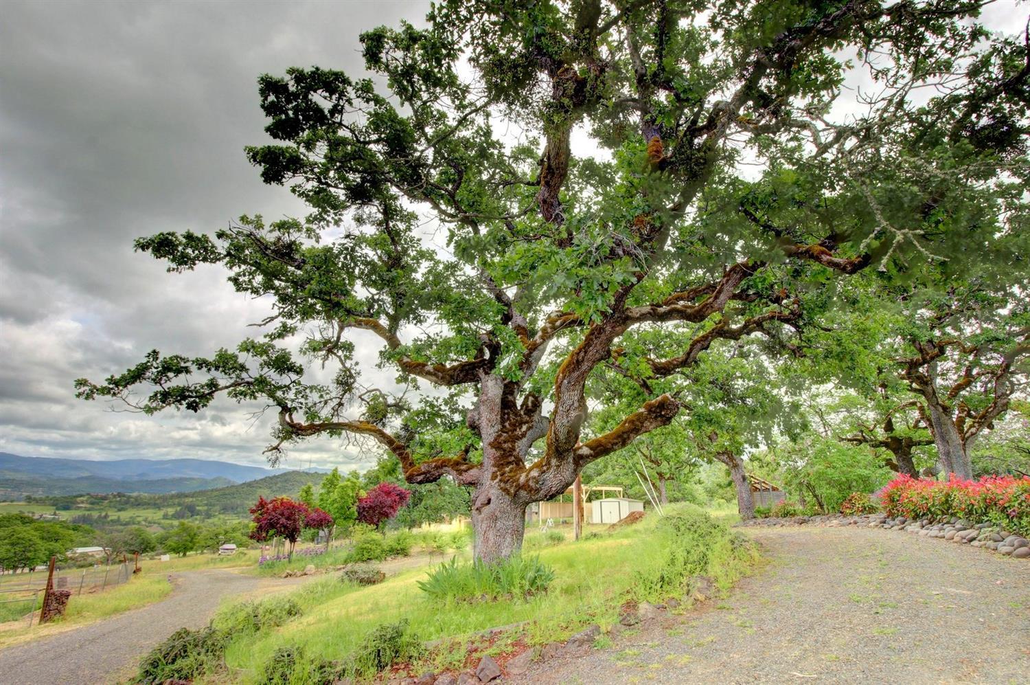 1399 Brownsboro-Meridian Road Eagle Point, OR 97524 - Photo 29 of 35 Additional Photo