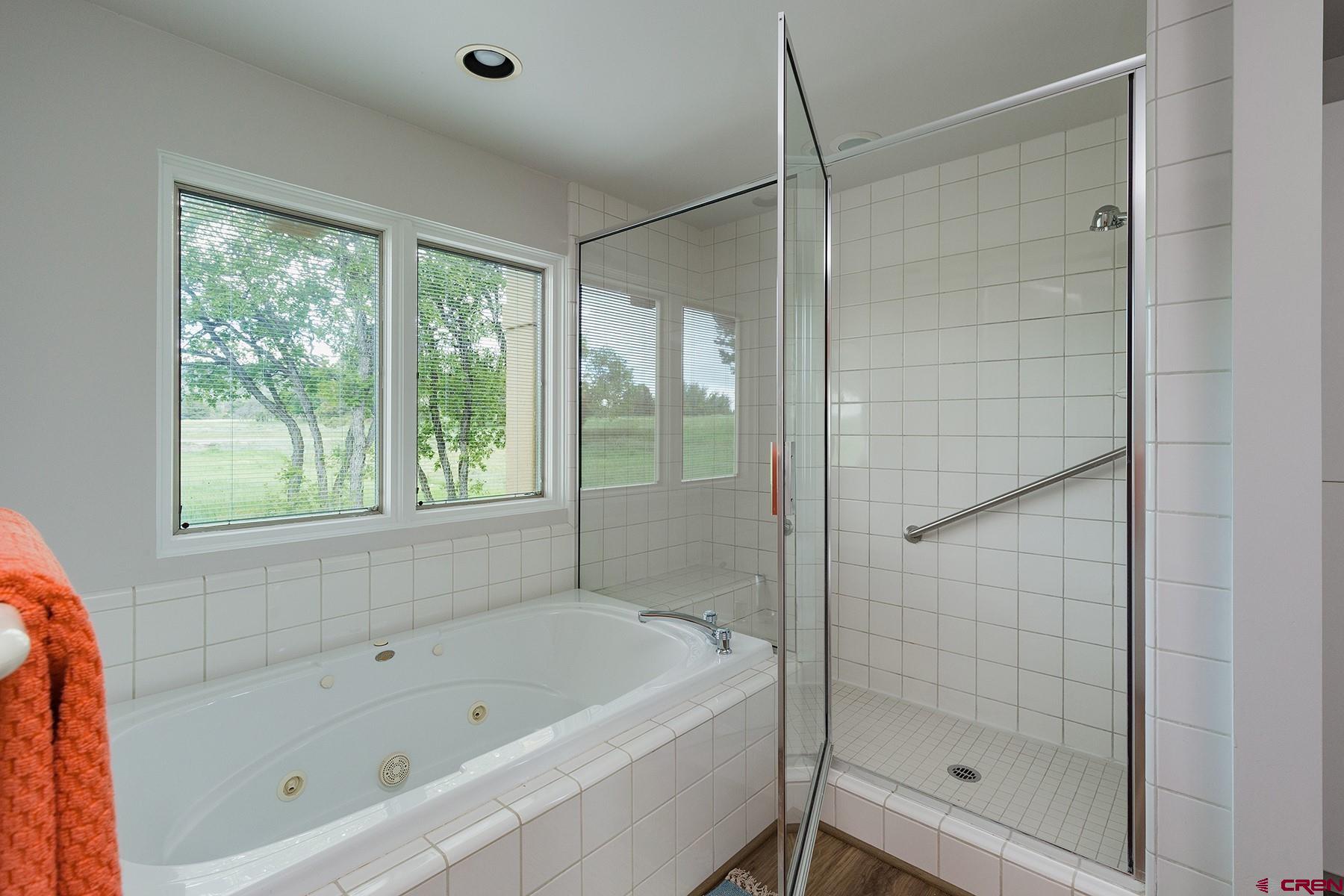 85 Blue Ridge Hesperus, CO 81326 - Photo 17 of 33 a bathroom with a bathtub and a shower