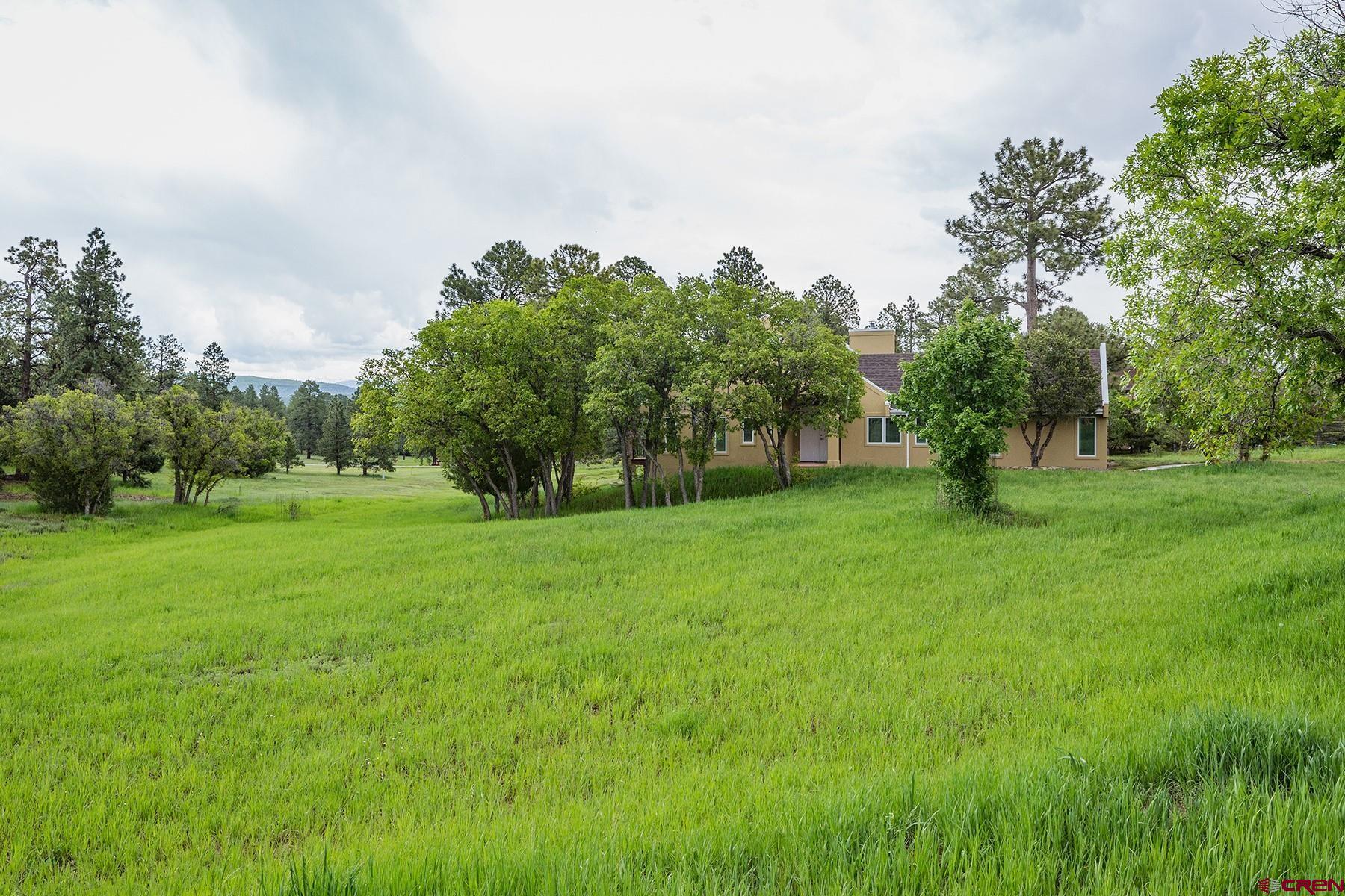 85 Blue Ridge Hesperus, CO 81326 - Photo 28 of 33 a view of a park with large trees