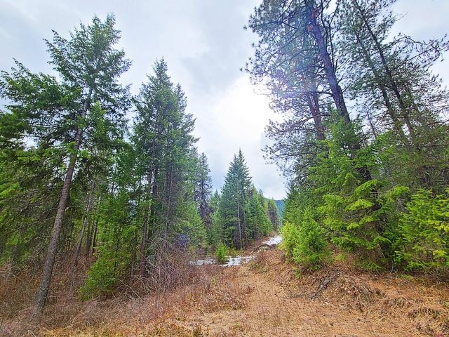 Tbd Aladdin Road Colville, WA 99114 - Photo 3 of 13 Gallery Image 3