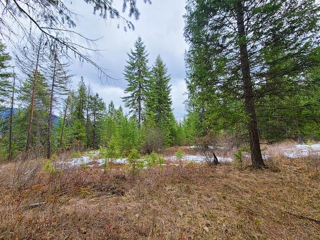 Tbd Aladdin Road Colville, WA 99114 - Photo 4 of 13 Gallery Image 4