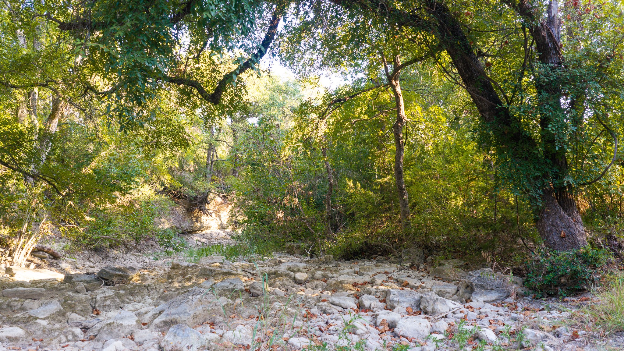 920 Ryan Road Bertram, TX 78605 - Photo 13 of 40 Mature trees frame a rocky creek bed, offering a natural and serene wooded landscape.